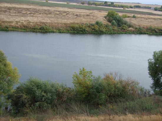 Река Сосна