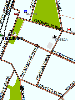 Карта Пушкино для ГИС Русса