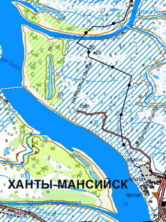 Топографическая Карта Нижневартовский Район