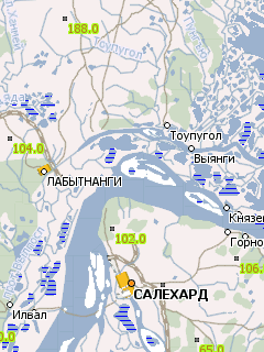 Карта Ямало-Ненецкого АО для Навител Навигатор
